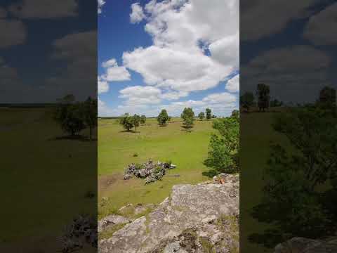 Paso Hondo, Tacuarembó. Uruguay 🇺🇾🇺🇾  #campo #campouruguay #nature #naturaleza #paz