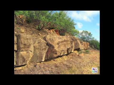 Permian Basin Fossil Record from Amazing Gem and Mineral Museum