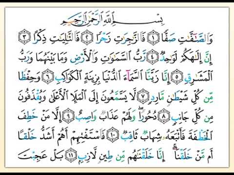 القرآن الكريم بالتفسير الميسر الصفحة 446