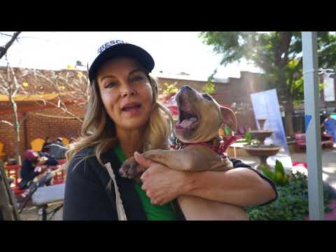 The Homeless Pets Of Skid Row
