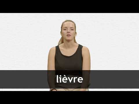 How to pronounce LIÈVRE in French