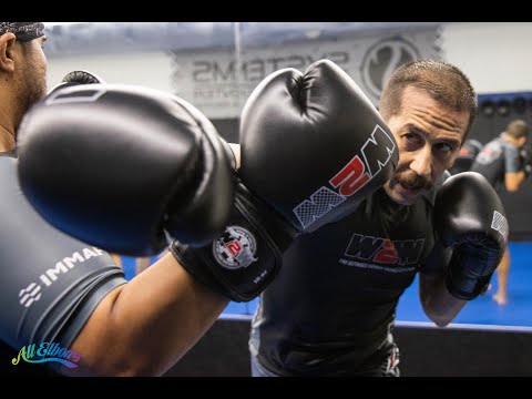 My First Four Weeks in Wimp 2 Warrior