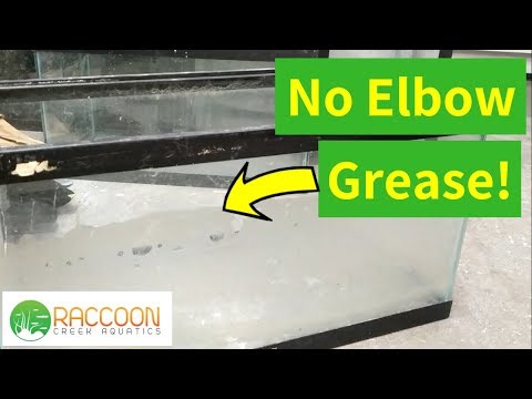 How to Clean a Used Aquarium | No Elbow Grease! | Aquarium Tricks