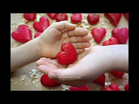 Olympic - Ty slzy dávno vpila tráva (Sebastian voice)