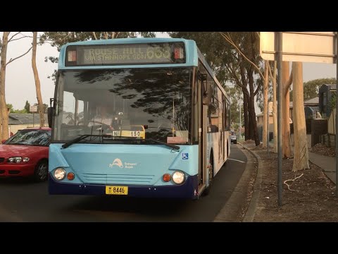 CDC Hillsbus m/o 8446 (ZF - Custom Coaches 550 - Mercedes Benz O405NH)