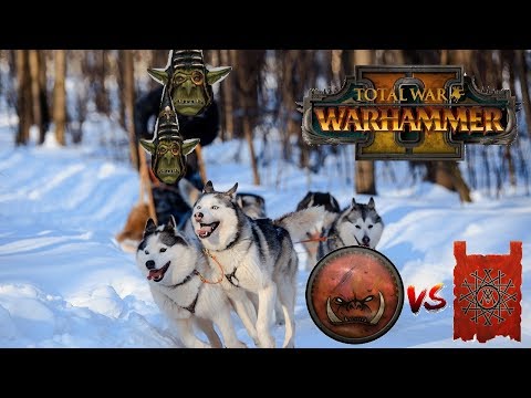 Greenskins vs Skaven | THE WOLF PACK - Total War Warhammer 2