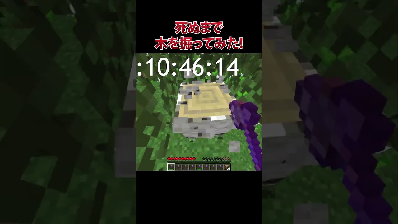 【検証】リクエスト！餓死するまで木を掘ってみた！#minecraft #マインクラフト #マイクラ #shorts