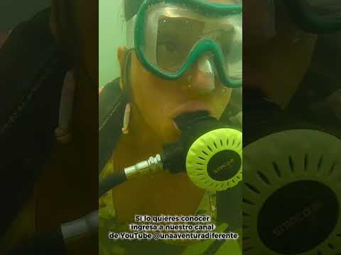 Buceando en el Charco El Limon de San Rafael Antioquía #viral #sanrafael #buceo