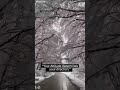 Quote With Music Background Quote Status For Whatsapp Quote Status Quote About Life Quotes