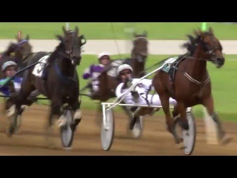 2016 Chats with Champs - Bee A Magician