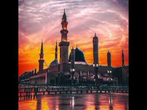 #viral #highlight #islamicstatus #trending #urdu #performance