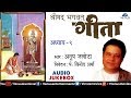Shreemad Bhagwat Geeta Vol 9 श्रीमद भगवद गीता अध्याय ९ Anu