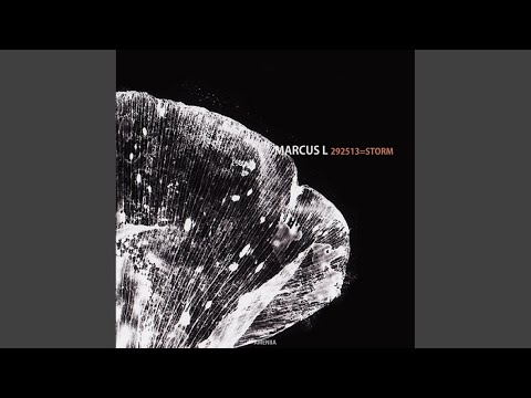 292513 (Original Mix)