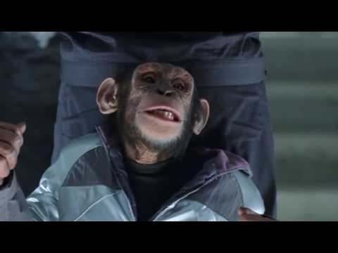 He has an orangutan who has judo and can protect him