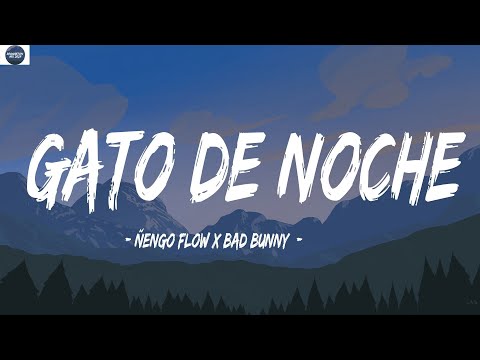 Ñengo Flow x Bad Bunny - Gato de Noche (Letra/Letra) | Gato de Noche Mix