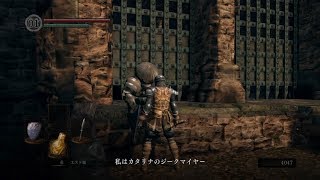 【初見実況】ダークソウル・リマスターpart4【たまねぎでも人間性】