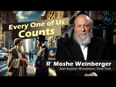 Every One of Us Counts | Rabbi Moshe Weinberger