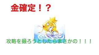 【はねろコイキング】攻略を撮ろうとしたらまさかの金確定演出！？