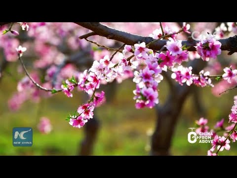 China From Above: Spring across China