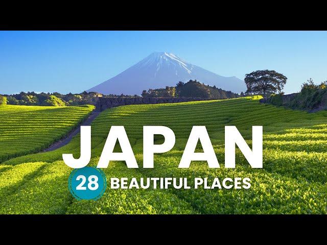 Travel vlog - 28 Amazing Places in Japan || You MUST Visit 2024 || Japan Travel Guide || UltimateTravelists