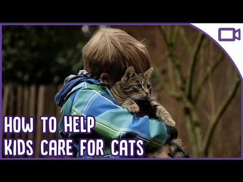 How to Help Kids Care for Cats - TOP TIPS!