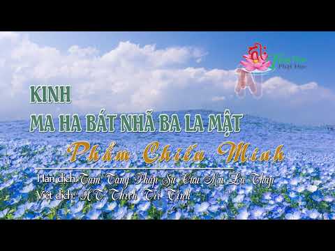 40. Phẩm Chiếu Minh