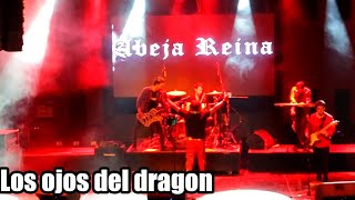 Los ojos del dragon - Abeja Reina (Tributo a Rata Blanca)