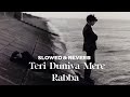 Teri Duniya Mere Rabba Slowed And Reverb