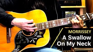 Morrissey - A Swallow On My Neck (guitar cover)