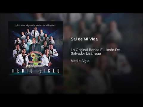 Sal de Mi Vida - La Original Banda El Limón
