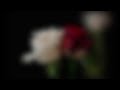 Michael McDonald - The Meaning of Love