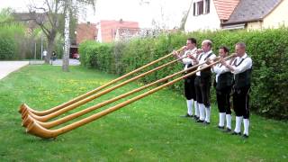 preview picture of video 'Kulturfest Rimpar - Unterpleichfelder Alphornbläser'
