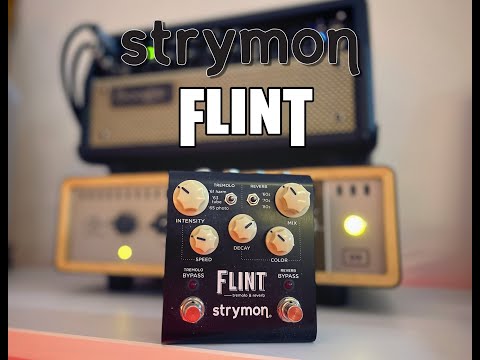 Strymon Flint