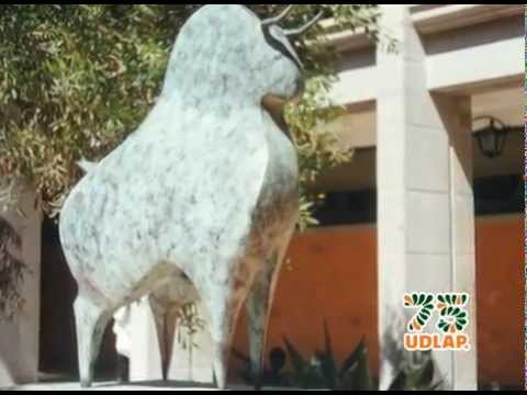 Momentos Históricos UDLAP - 1996