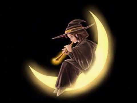 Willie Nelson Night Life