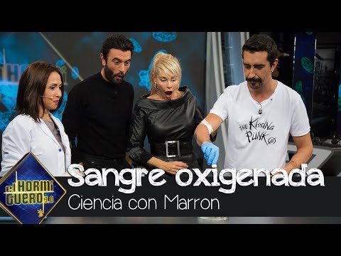 Marron sorprende a Javier Rey y Belén Rueda con un experimento con su sangre - El Hormiguero 3.0