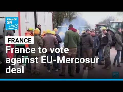 President Macron says France to vote against EU-Mercosur deal • FRANCE 24 English