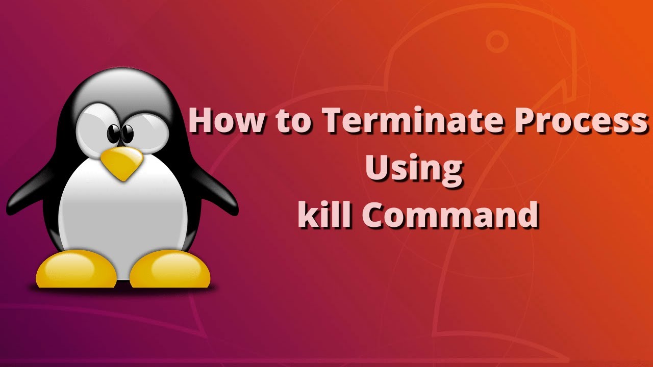 Download Linux Command Line Interface Terminate Process By Kill Command In Hindi Mp4 3gp Hd Naijagreenmovies Fzmovies Netnaija