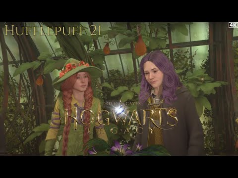 Hogwarts Legacy Gameplay - Part 21 | Hufflepuff | No Commentary | 4K