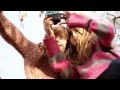 Utan titel - musikvideo 