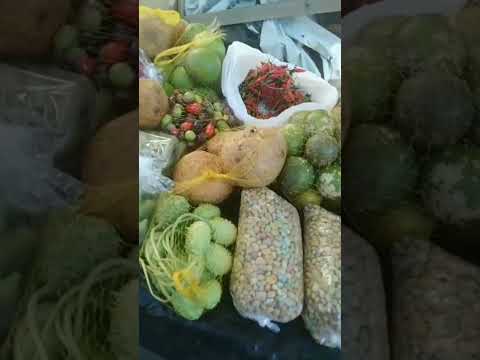 NA FEIRA DE ITAMARAJU BAHIA