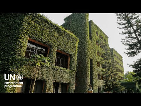 2022 Global Status Report for Buildings and Construction | UNEP - UN Environment Programme