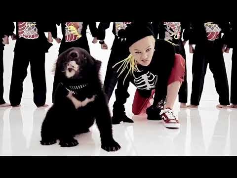 Chick Flowerz & Martik C  -- Rhythm is a Dancer ( Megamix version )