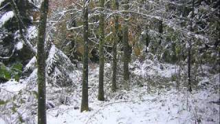 Dyster - Sweet Illness Of Mine (Lifelover Cover).wmv