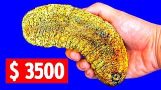 Что ловят на огурец