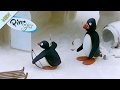 Pingu The Archer Pingu Official Channel