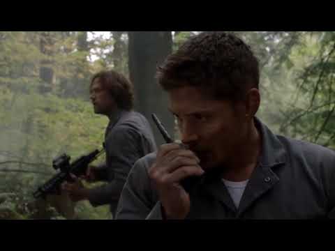 'You're trapped out here with us '