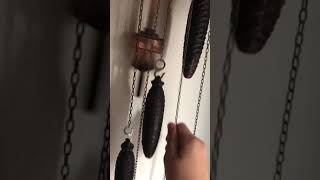 Winding the cuckoo clock