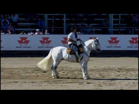 Aberta de Esteio (RS) - 6º lugar machos - Dom Alberto Kaiser (Prova: Bayard/Sarmento)