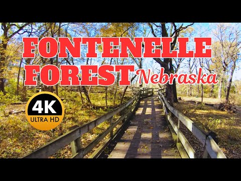 youtube embeded image